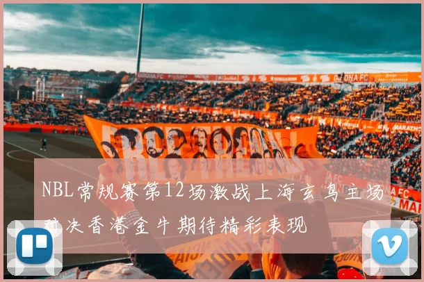 NBL常规赛第12场激战上海玄鸟主场对决香港金牛期待精彩表现