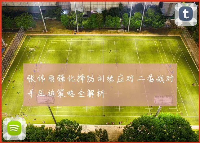 张伟丽强化摔防训练应对二番战对手压迫策略全解析