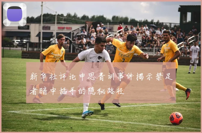 新华社评论申思青训事件揭示禁足者暗中插手的隐秘路径